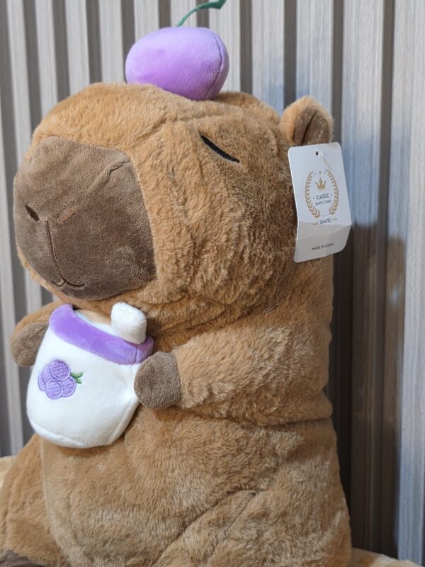 4da85246-f790-4946-be48-c7f7613245d3 Capibara con manta