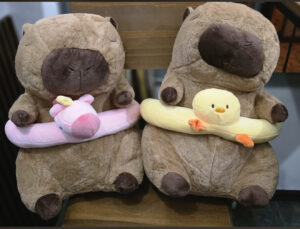 IMG_3365 Capibara con manta