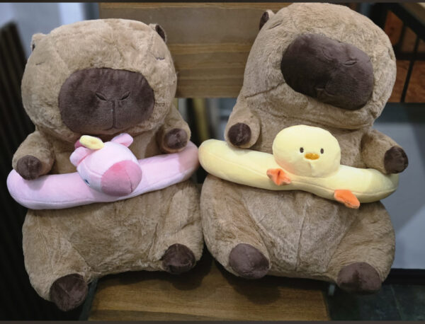 IMG_3365 Capibara con manta