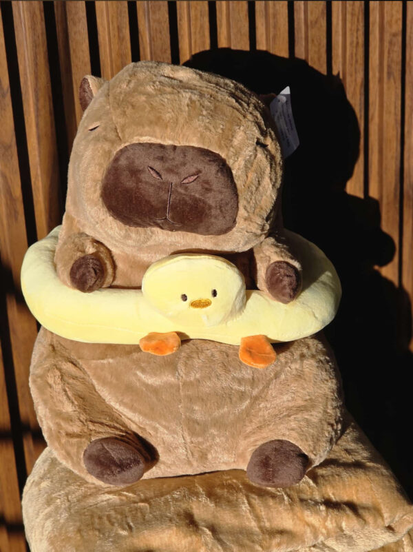 IMG_3366 Capibara con manta