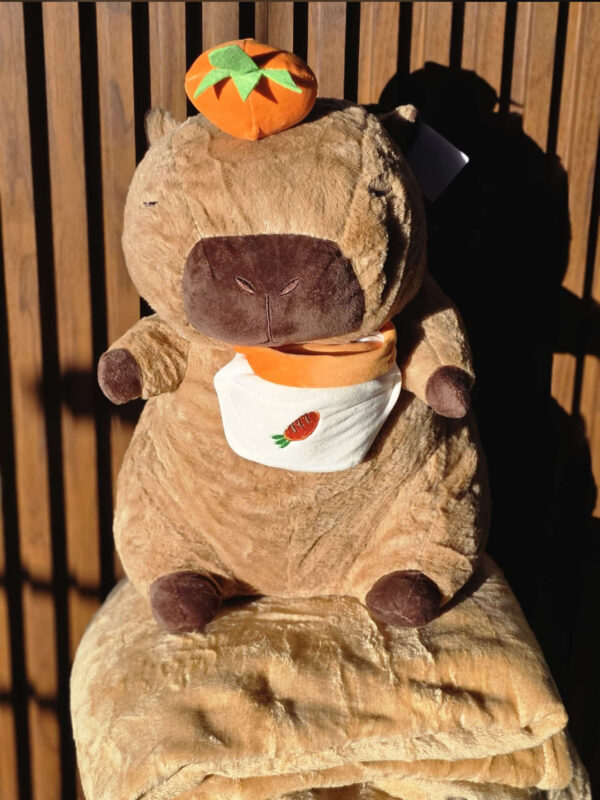 IMG_3367 Capibara con manta