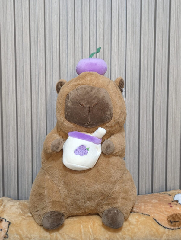 IMG_3370 Capibara con manta