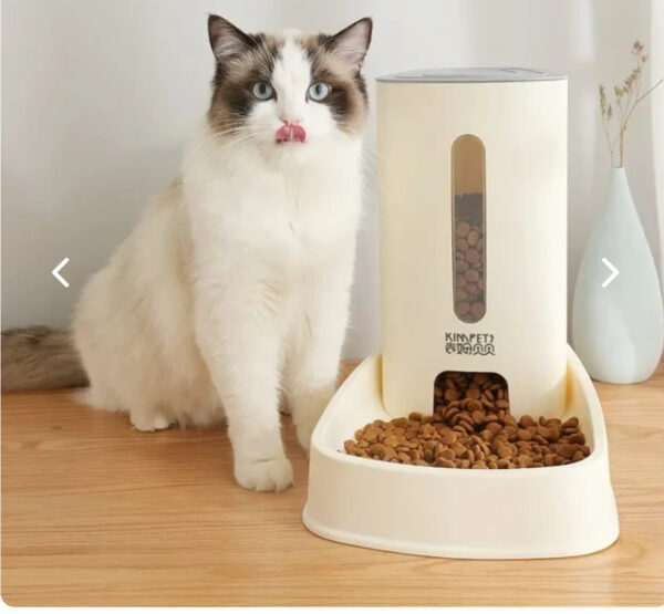 IMG_3791 Dispensador de comida para mascotas