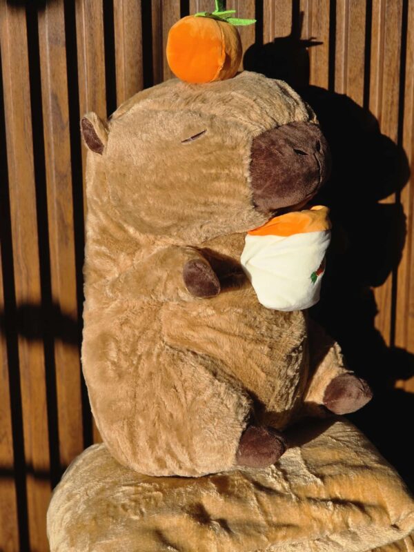 f8a28c2e-3012-4cfc-a5f6-6c451aa8ea5a Capibara con manta